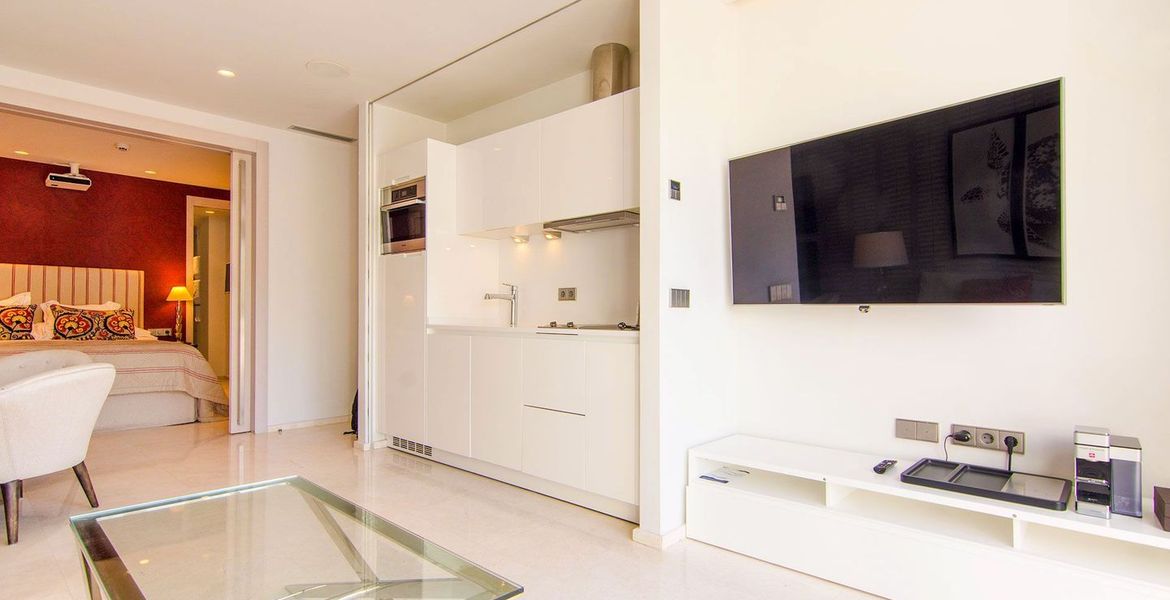 Luxury One Bedroomed Apartment in Puente Romano