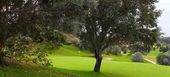 Наслаждитесь удивительным полем для гольфа Санта-Клара.